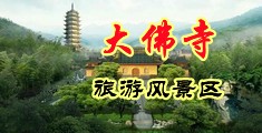 国产最大最粗最硬大鸡巴操漂亮大骚逼的视频中国浙江-新昌大佛寺旅游风景区